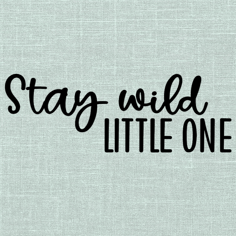 Plott-Motiv | "Stay wild little one"