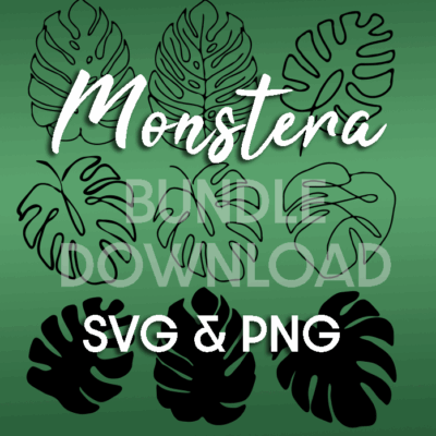 DOWNLOAD | Monstera-Bundle